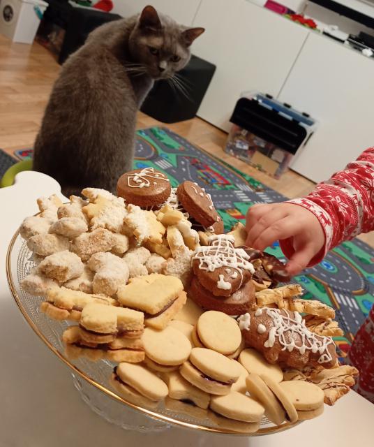 Pohodov� V�noce hlavn� ve zdrav�