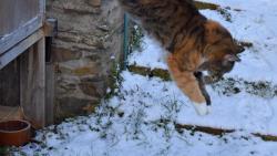 Po svátcích to chce trošku toho pohybu, tak trénuju skoky do sněhu.