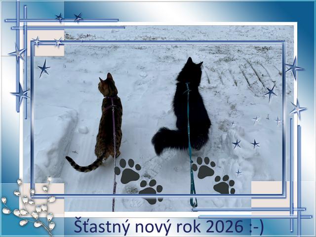 ��astn� nov� rok 2026 p�eje Jolie, Mac�k a obsluhy :-) Vykro�te tou spr�vnou tlapkou :-)