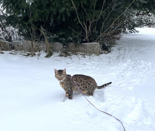 Kone�n� n�s vzala ven :-)