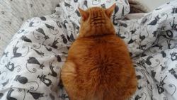 Nee, j� se skute�n� nechci j�t vyv�trat, b� ven sama.