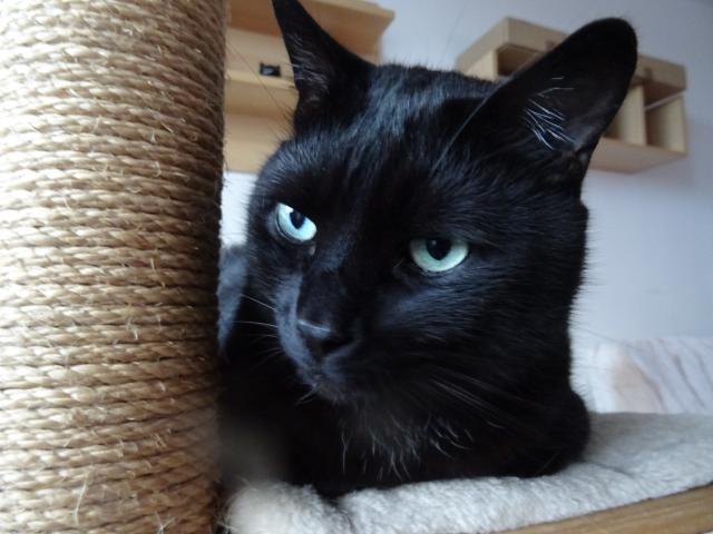 Taky se mi nechce j�t ven. U� tam zase poletuje to studen� b�l� fuj.