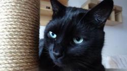 Taky se mi nechce j�t ven. U� tam zase poletuje to studen� b�l� fuj.