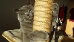 Jak bylo v�era dob�e, kdy� sv�tilo slun��ko.