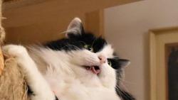 Se m� ptali, jestli taky nejdu ven. Co si mysl�te, �la jsem?