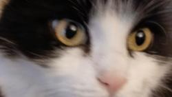 Na balkon nejdu, a ropuchy s tím, že má dnes ráno přestat sněžit, pěkně kecaly protože ráno je ve 4.00 jak víme my s Miouchou a ne v 10.00 jak se nám snažíš namluvit ty.