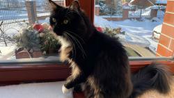 Podobnost s �ernou veverkou je �ist� n�hodn� :-))))