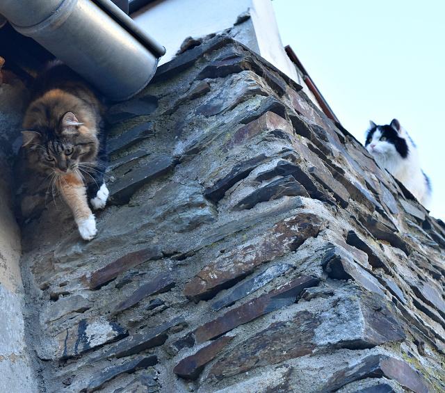 Kry�p�no, slezem tudy.