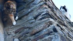 Kry�p�no, slezem tudy.