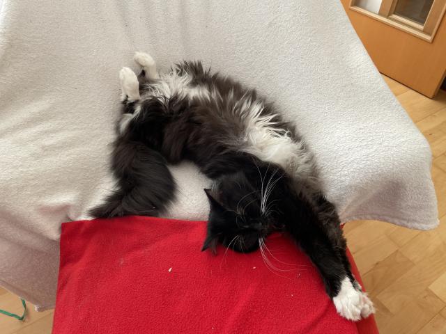 Spink�m 😸😸😸