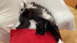 Spink�m 😸😸😸