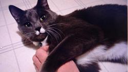 Nugget :   R�d z�pas�m s p�n�kovou rukou. V�dycky ji p�eperu.