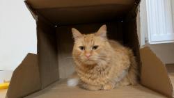 Pani�ce p�i�el bal�k, tak n�m dala krabici