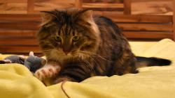 Renata tam byla skoro po��d se mnou, tak jsem nestr�dala. Pak to stejn� chyt i Jenda, ale s daleko lep��m pr�b�hem, na�t�st�.