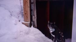 Nugget : �el jsem se trochu vyv�trat.