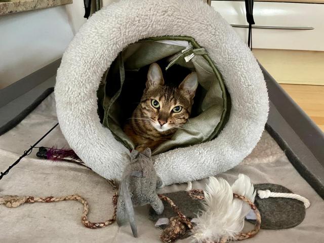 Dneska nic d�lat nebudu :-)