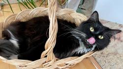 Bude mas��ko??? Mas��ko j� tuze r���d :-) hlavn� ku�ec� :-)