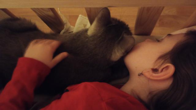 Dobrou noc. A neru�, dnes mak�m hodn�, za tu zoubkovou v�lu!