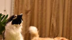 1/2 Kry�p�no, si snad mysl�, �e t� pustim na moje m�ste�ko.