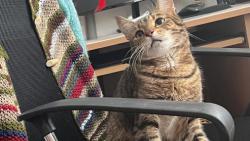 Jsem mil��ek😘