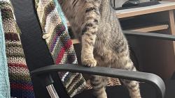 A taky jsem sportovec 😍