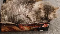 Vendi, Vidi, Uprd�len�ny...