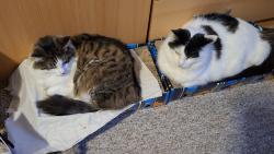 My teda jedeme dvojboby .... tak snad vyhrajeme aspo� kapsi�ky.