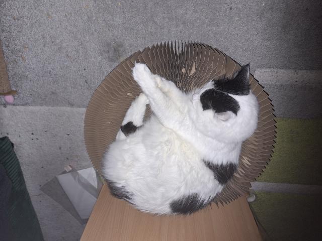 A pak mus�me po��dn� odpo��vat.