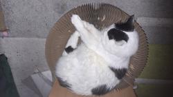 A pak mus�me po��dn� odpo��vat.