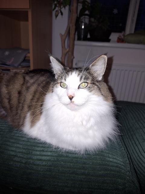 A pak trochu potr�nujeme na vyhla�ov�n� v�t�z�.