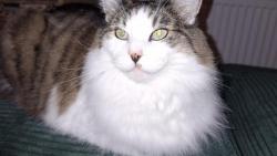 A pak trochu potr�nujeme na vyhla�ov�n� v�t�z�.