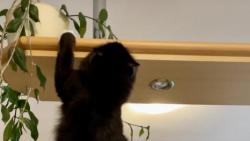 Za Discipl�nu lezen� po ty�i si pr� zaslou�il medaily🥇