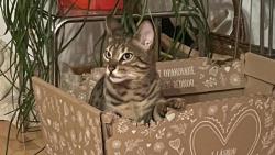 Je�t� p�r dn� a bude po krabici😹