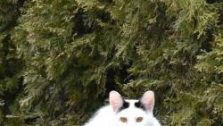 1/2 Jsem sly�el, �e je tady docela fajn bydlen� :-)