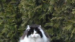 2/2 Fr�jo, brzdi. Sem u� se nikdo nevejde a ty stejn� vypad� dost ope�ov�van�.