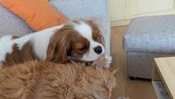 Jsme kamar�di 🙂