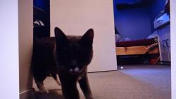 Nugget : n�kdo m� vol�, nejsp� bude n�co  dobr�ho..