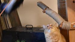 Zuzanko, hlavně nespadni. Kdo by se o mě staral.