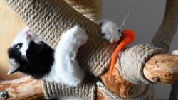 Taky umím pěkně řádit, ale o mě se Jan nějak moc nebojí...