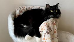 Přeji pohodovou sobotu 😘