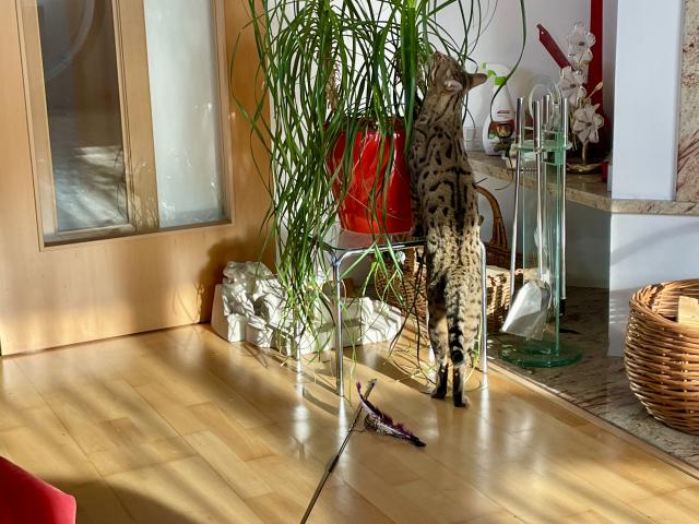 Jen si tak trochu kousnout 😀