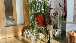 Jen si tak trochu kousnout 😀