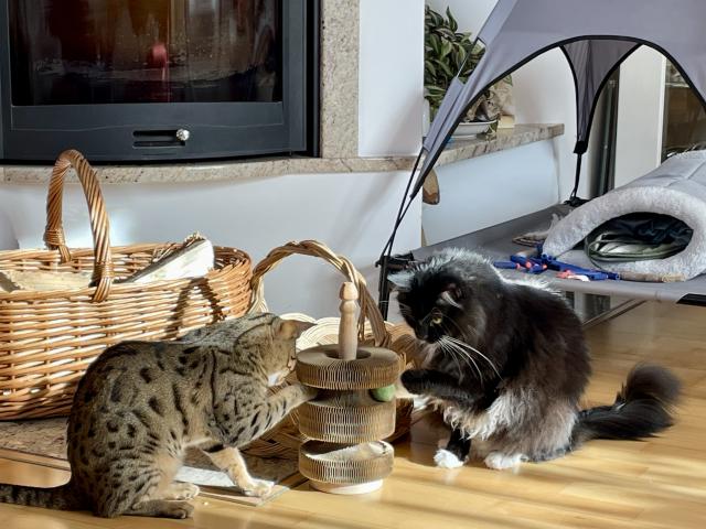 1)spole�n� hra�