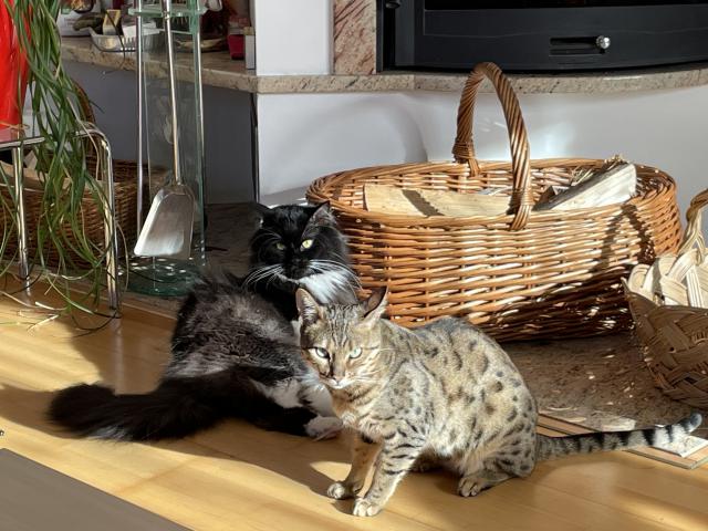 3) Co je??? Jsme p�eci hodn�,ne?😹