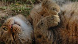 Protahování na skoro-jarním sluníčku :)