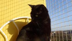 Slun��ko u� m� s�lu. Za chv�li mi za�ne doutnat ko�uch.