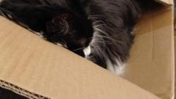 1/ Tady nikdo není...