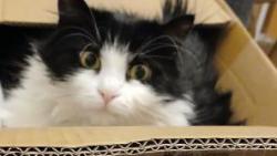 3/ Co? Jak? Kde? O jaký potvoře je tu sakra řeč?!?!