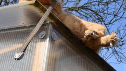 1/3 Tak si tady ležím a najednou...