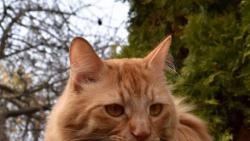 3/3 Jsem rozčílenej, páč mě Renata nepustila na toho černýho pisálka.